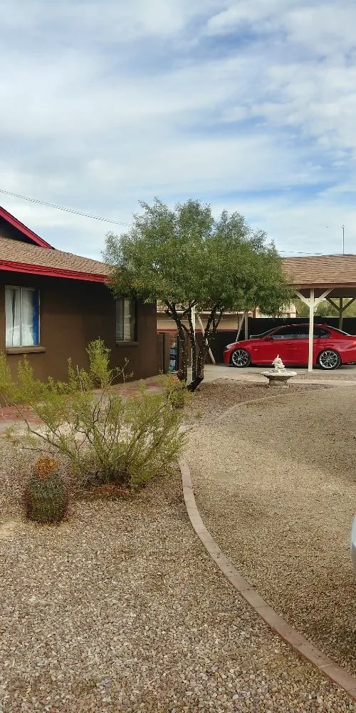 Affordable yard cleanup service in Phoenix, AZ - Echo Mountain Landscaping