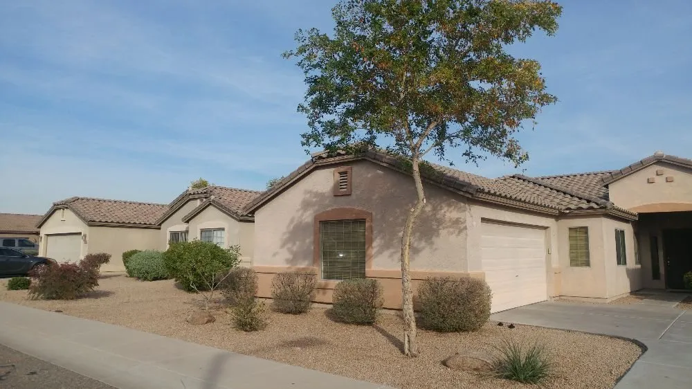 Top-rated yard cleanup service for beautiful yards across Phoenix, AZ - Echo Mountain Landscaping