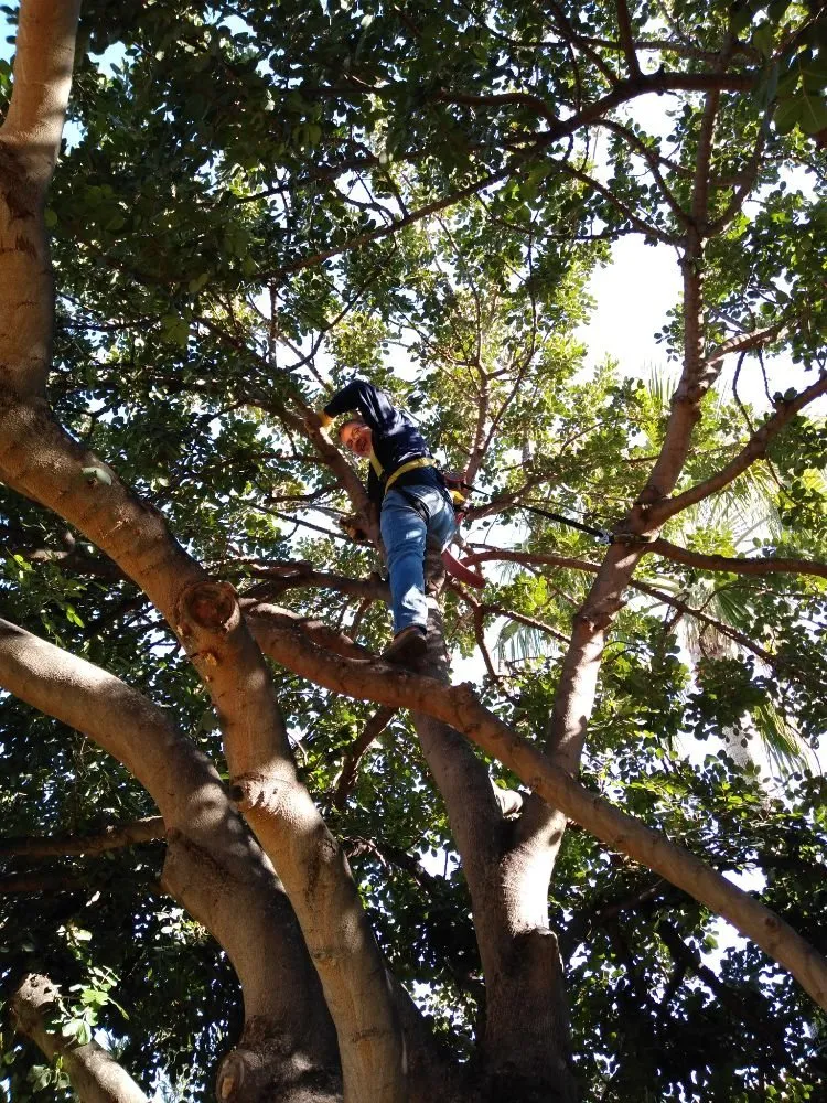 Custom landscape design experts serving Phoenix, AZ - Echo Mountain Landscaping