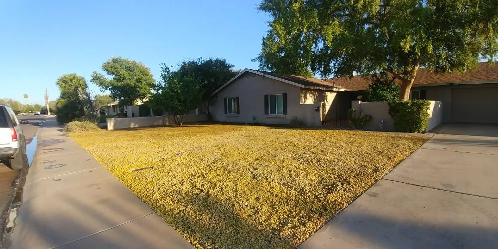 Trusted landscaping services with custom design across Phoenix, AZ - Echo Mountain Landscaping