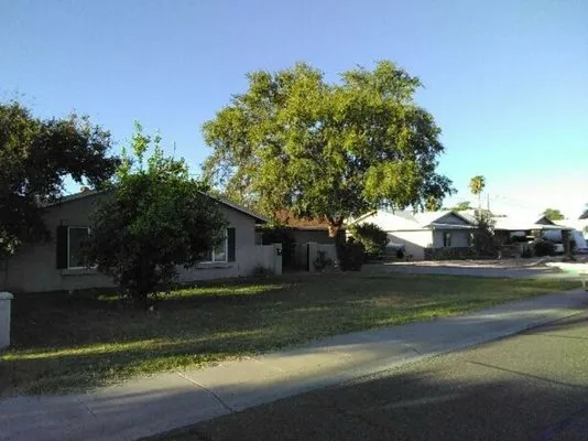 Echo Mountain Landscaping Logo