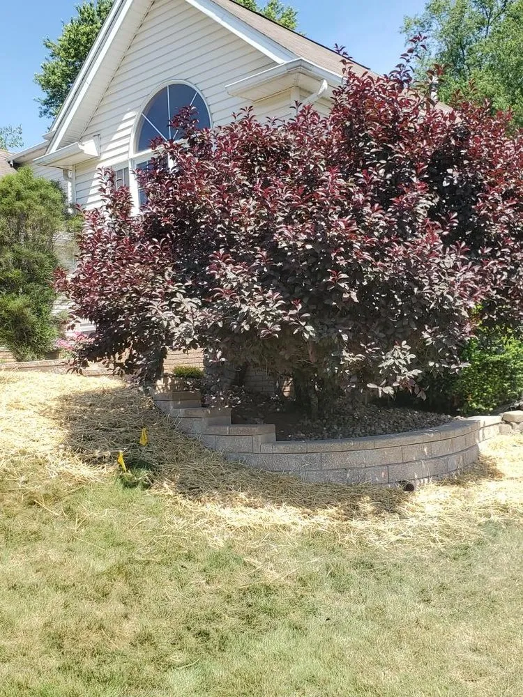 Trusted landscaping services for outdoor upgrades across Millersburg, OH - Echo Valley Landscaping & Decks