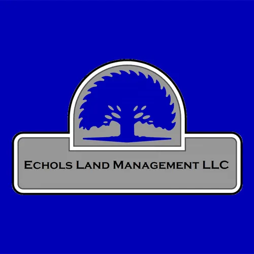 Top-rated residential landscaping in Mcdonough, GA by Echols Land Management