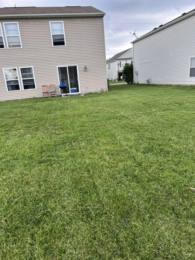 Top-rated landscape installation in Indianapolis City, IN - Echols Lawn And Landscaping