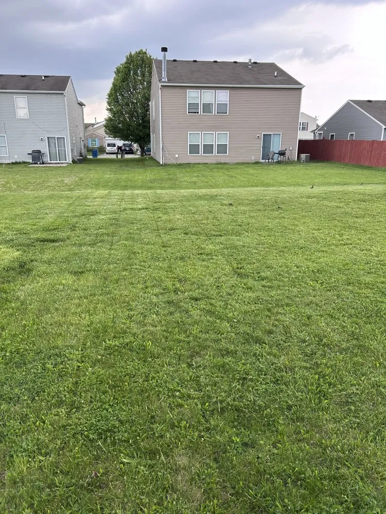 Trusted yard cleanup service in Indianapolis City, IN - Echols Lawn And Landscaping
