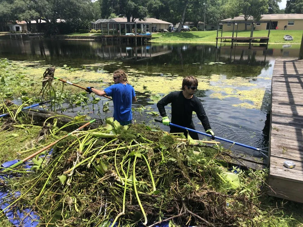 Affordable garden landscaping for outdoor upgrades in Land O Lakes, FL by Eck aquatics