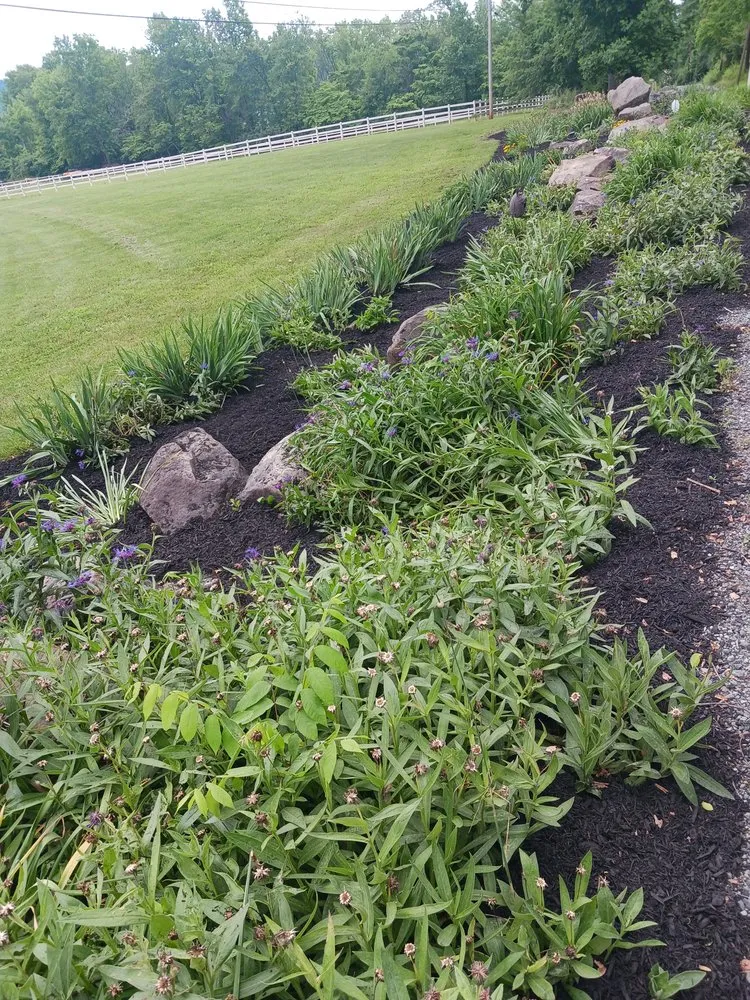 Expert lawn mowing service in Birdsboro, PA by Eckenroth Landscaping And Mowing