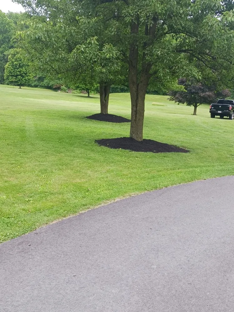 Top-rated yard maintenance in Birdsboro, PA - Eckenroth Landscaping And Mowing