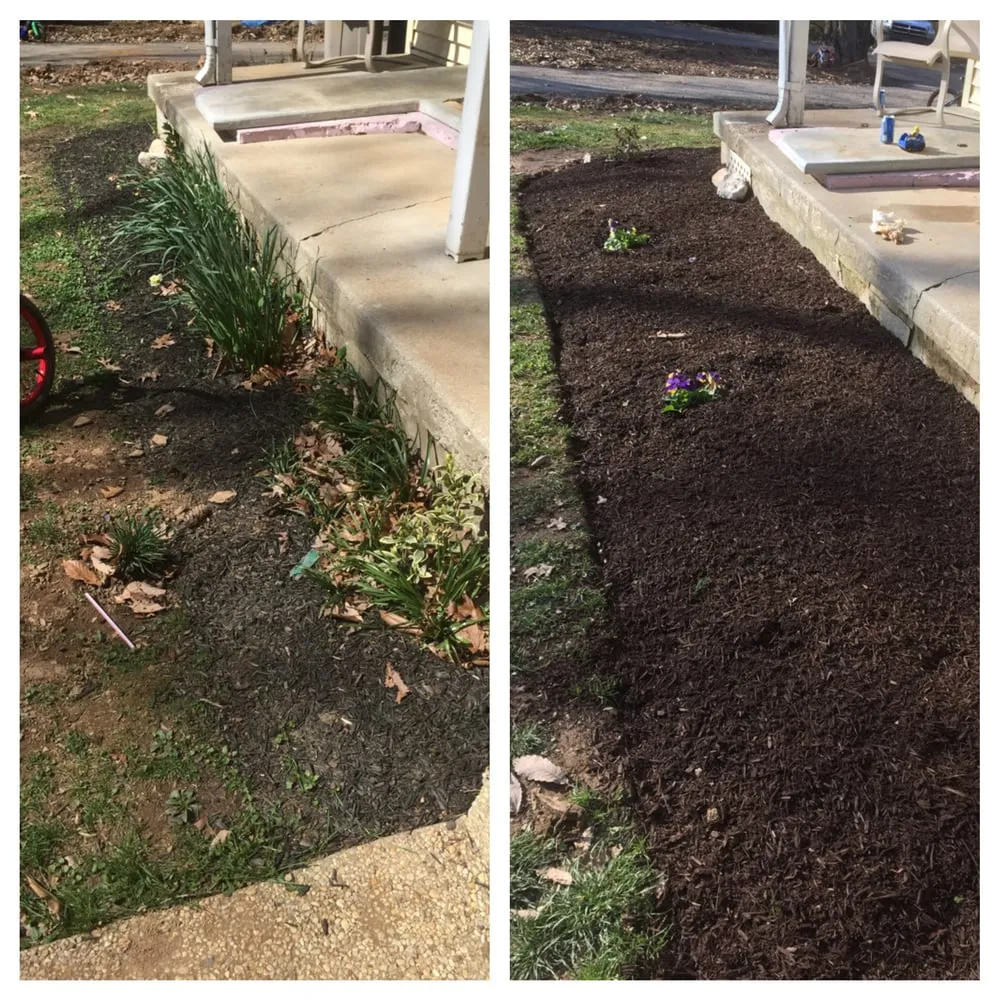 Affordable lawn care service in Finksburg, MD - Ecker Lawn Services