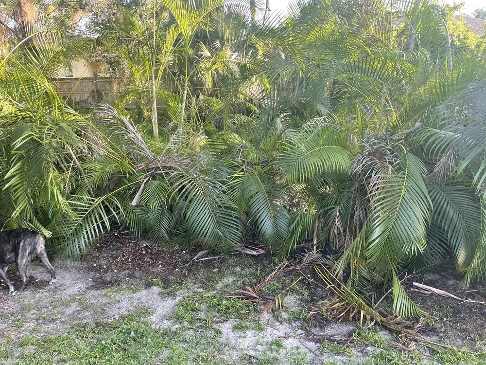 Trusted landscape installation for residential properties across Fort Pierce, FL - Ecker's Lawn & Tree Services