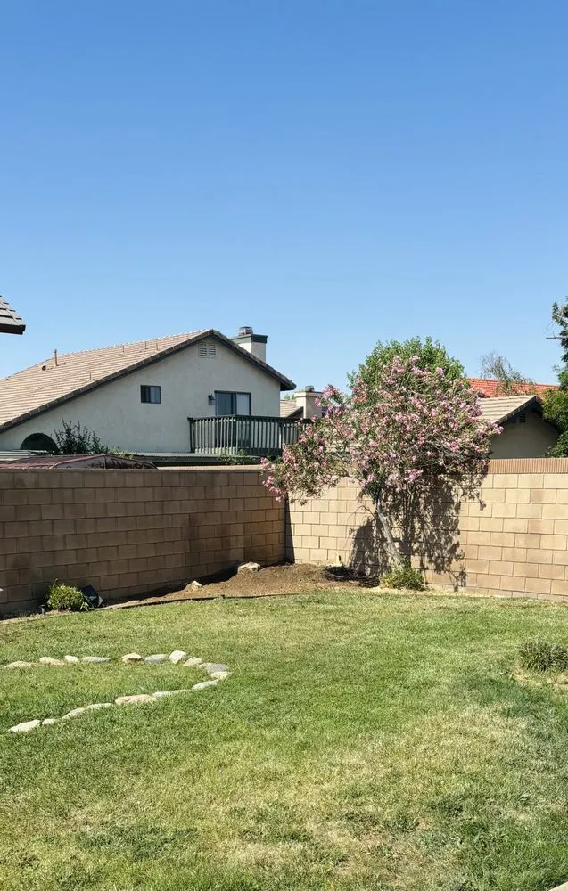 Top-rated yard maintenance with custom design in San Fernando, CA by Eckerson's Tree Services