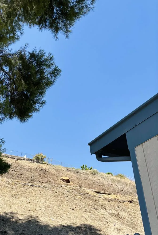 Reliable landscape installation for beautiful yards across San Fernando, CA - Eckerson's Tree Services