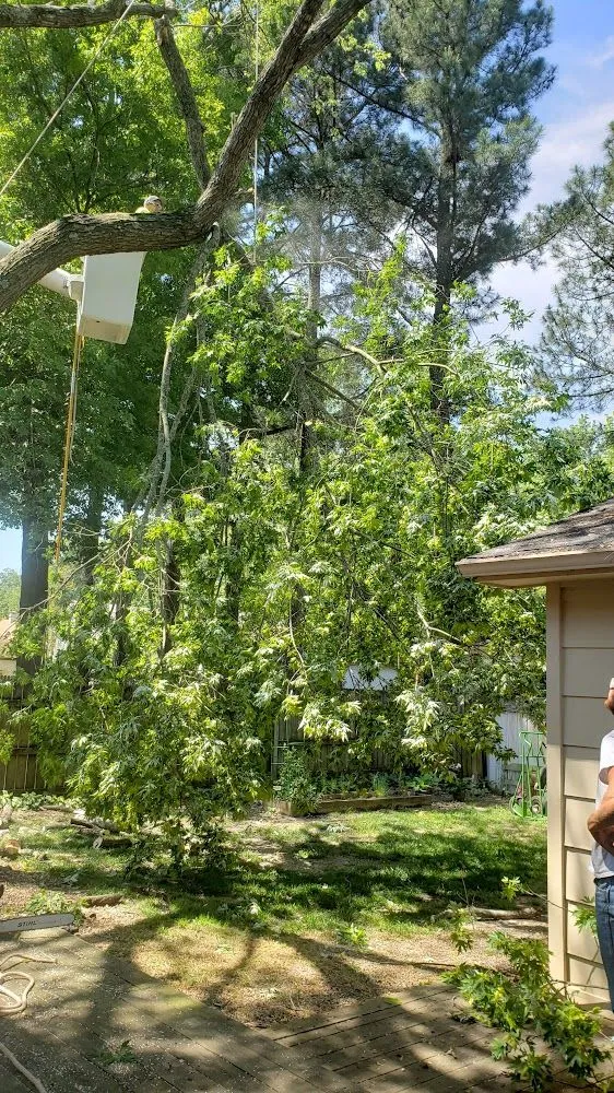 Professional residential landscaping for homes across Memphis, TN - Ecklund's Tree Services