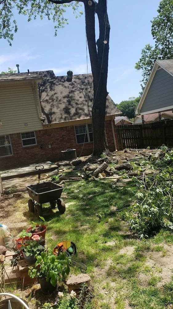 Reliable yard cleanup service experts serving Memphis, TN - Ecklund's Tree Services