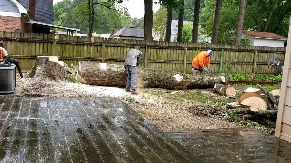 Top-rated lawn mowing service for beautiful yards across Memphis, TN - Ecklund's Tree Services