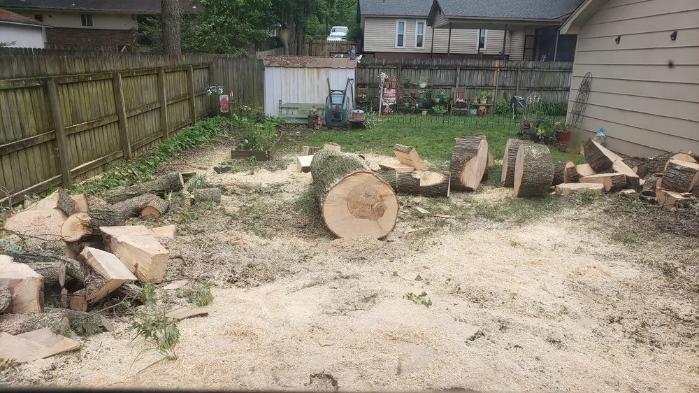 Top-rated outdoor landscaping in Memphis, TN by Ecklund's Tree Services