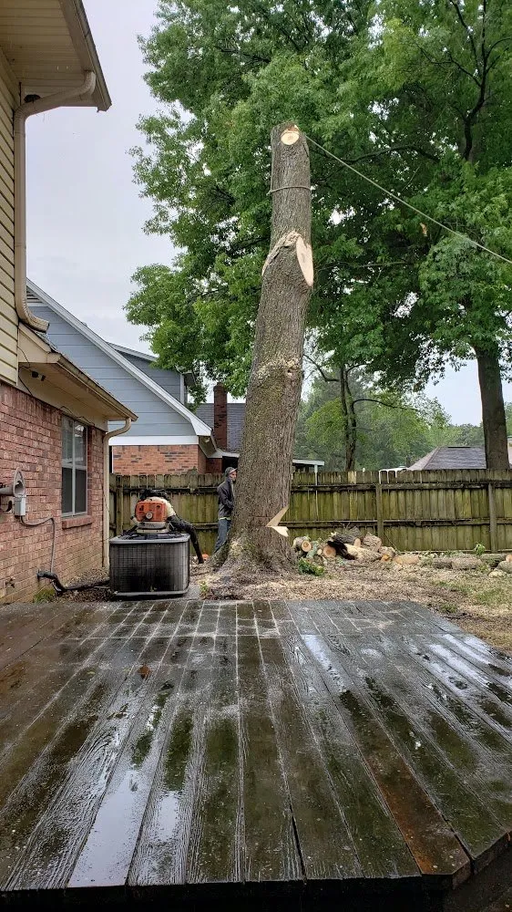 Reliable lawn mowing service for outdoor upgrades across Memphis, TN - Ecklund's Tree Services