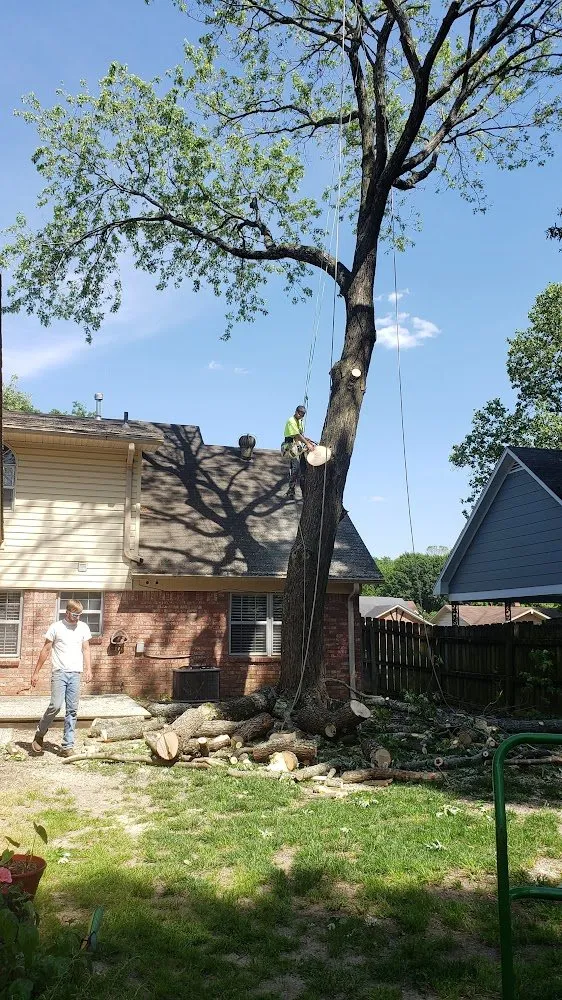 Local garden landscaping experts serving Memphis, TN - Ecklund's Tree Services