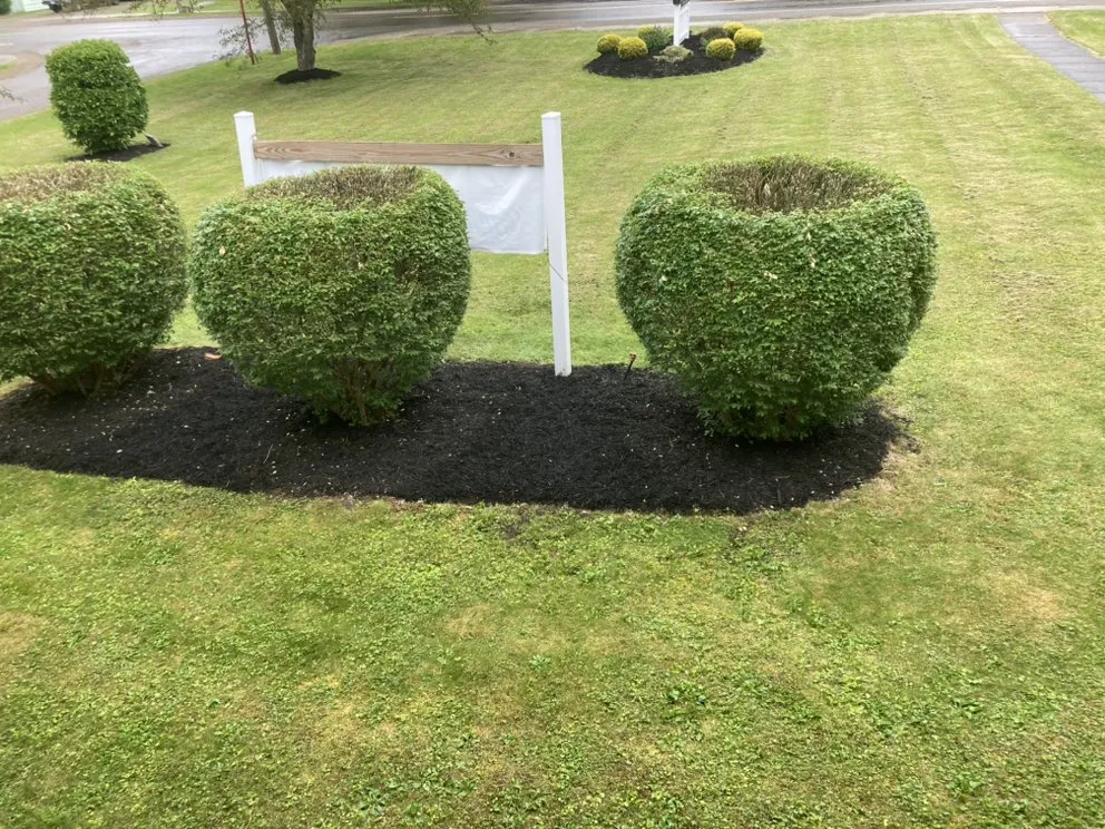 Custom landscape design near you in Jamestown, NY by Eckman Lawn Care