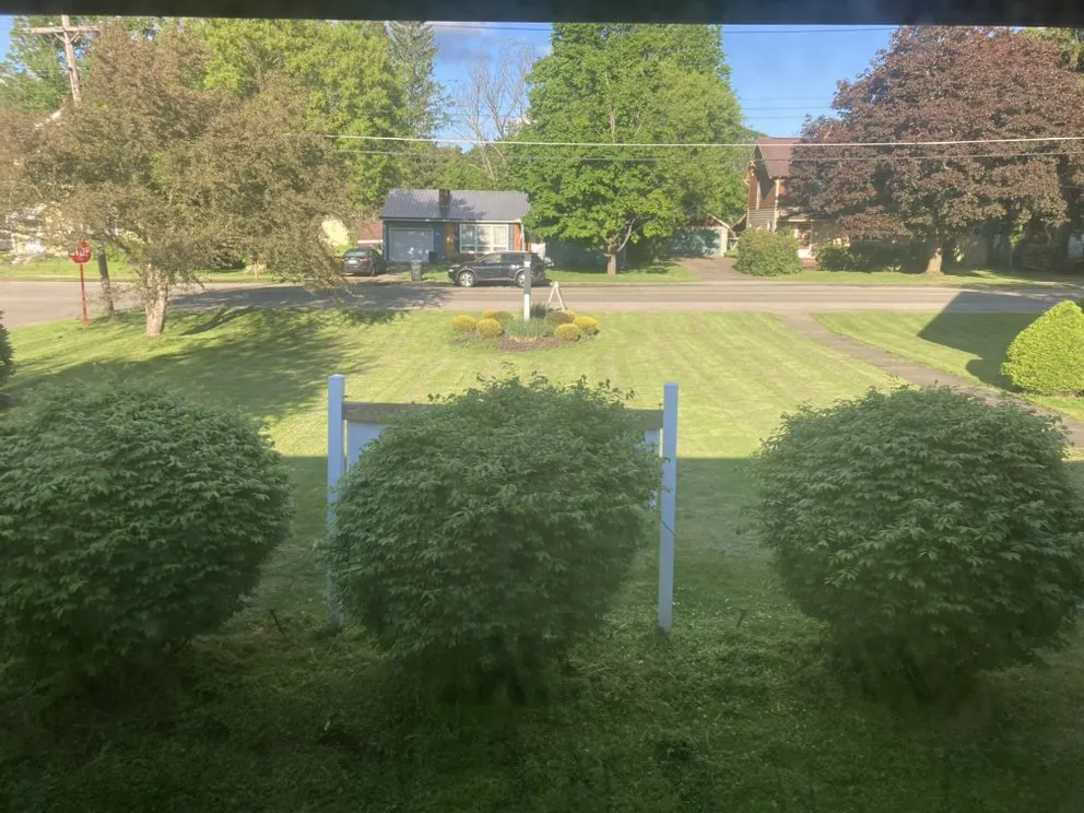 Reliable garden landscaping experts serving Jamestown, NY - Eckman Lawn Care