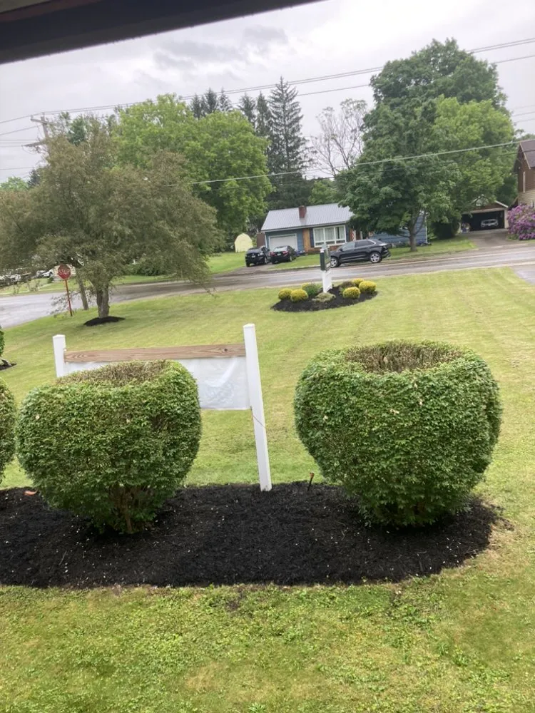 Professional lawn care service in Jamestown, NY - Eckman Lawn Care