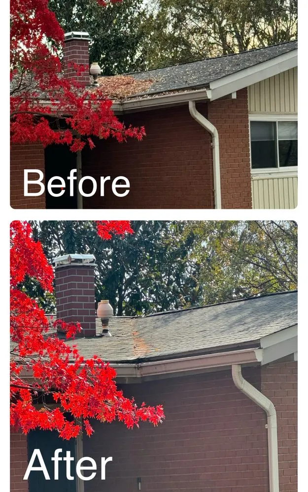 Custom yard maintenance in Reisterstown, MD by ECL Landscaping Service