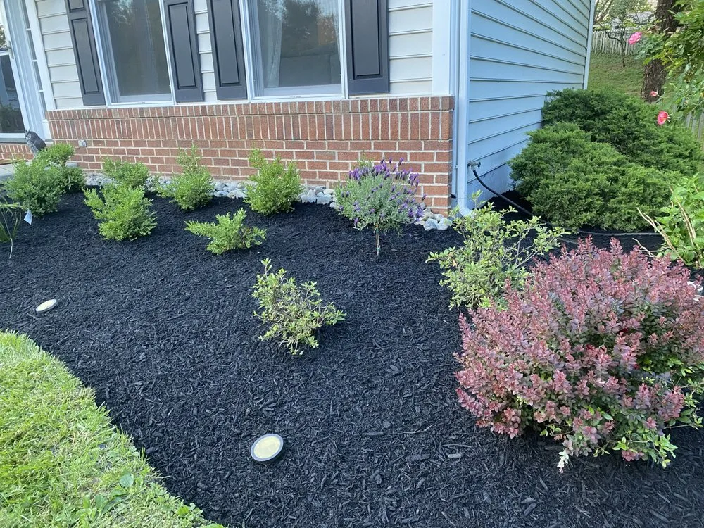 Affordable lawn care service for homes in Reisterstown, MD by ECL Landscaping Service