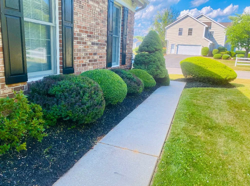 Local yard maintenance experts serving Reisterstown, MD - ECL Landscaping Service