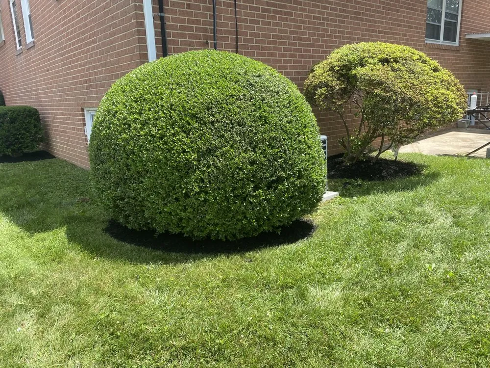 Affordable lawn care service in Reisterstown, MD - ECL Landscaping Service