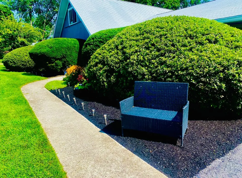 Reliable yard cleanup service for year-round maintenance in Reisterstown, MD by ECL Landscaping Service