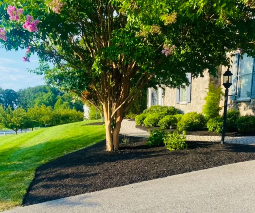 Expert landscaping services in Reisterstown, MD by ECL Landscaping Service