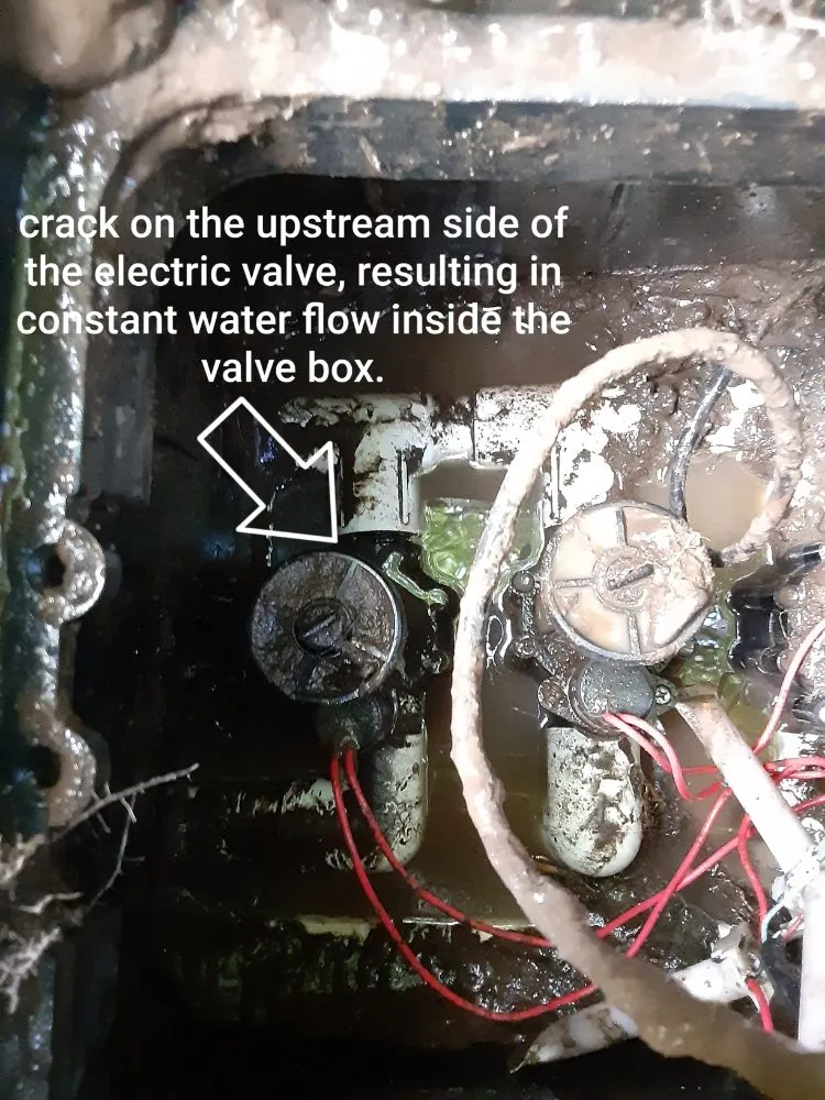 Custom lawn care service in Eugene, OR - Eclectic Gardeners