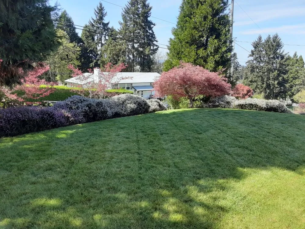 Trusted lawn mowing service in Eugene, OR by Eclectic Gardeners