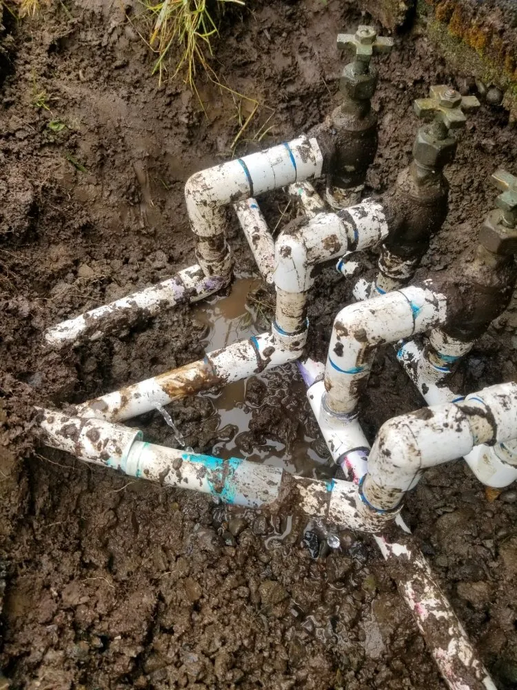 Expert lawn care service in Eugene, OR - Eclectic Gardeners