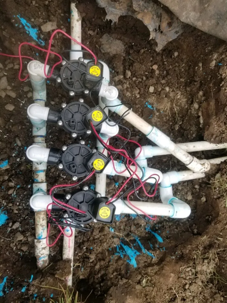 Professional landscaping services with custom design across Eugene, OR - Eclectic Gardeners