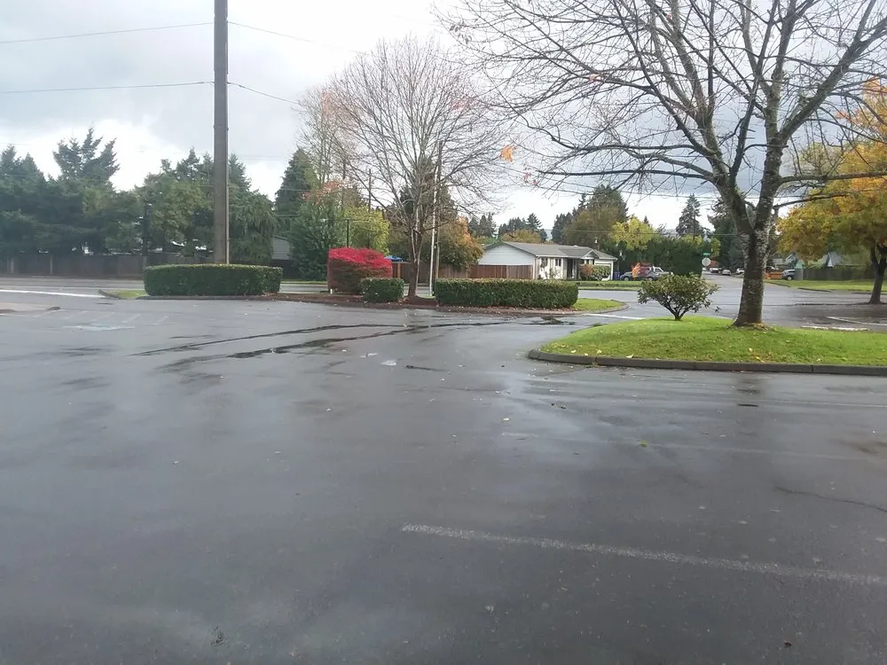 Professional outdoor landscaping in Eugene, OR by Eclectic Gardeners