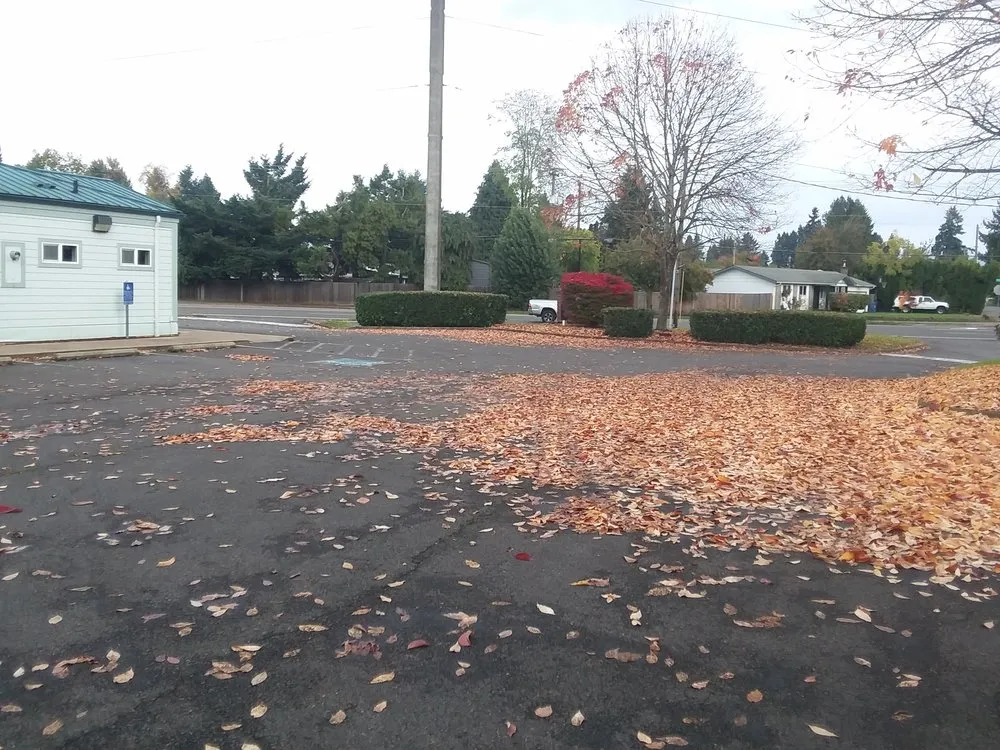 Local garden landscaping for residential properties across Eugene, OR - Eclectic Gardeners