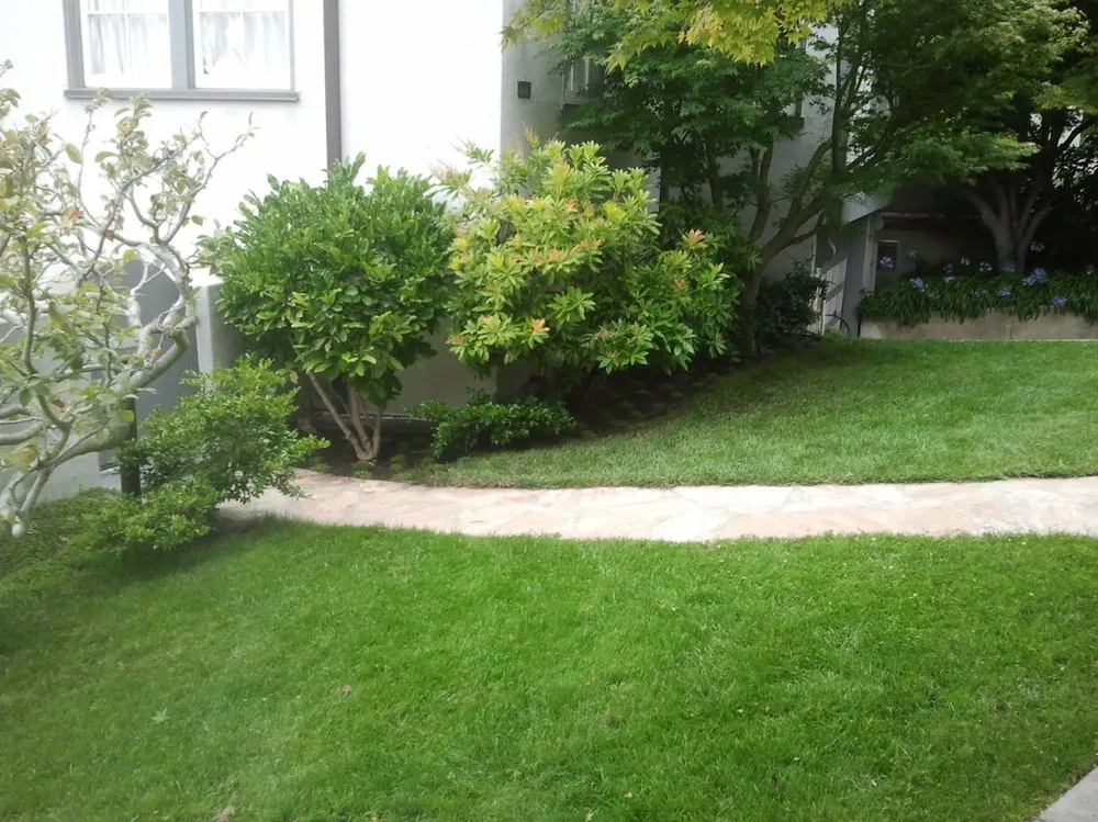 Trusted lawn care service near you across Eugene, OR - Eclectic Gardeners