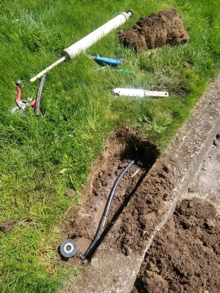 Custom yard maintenance for outdoor upgrades across Eugene, OR - Eclectic Gardeners