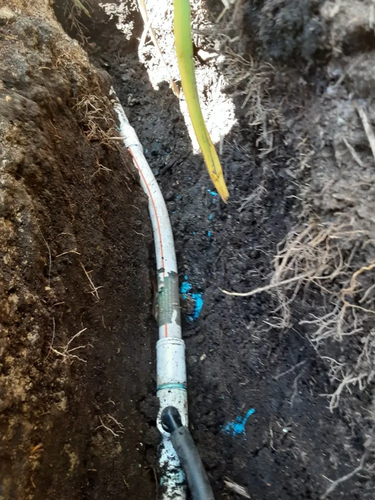 Custom residential landscaping in Eugene, OR by Eclectic Gardeners