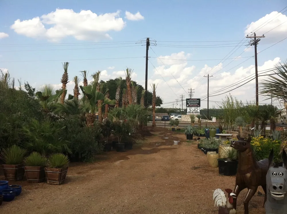 Affordable yard cleanup service in Austin, TX - Eclipse