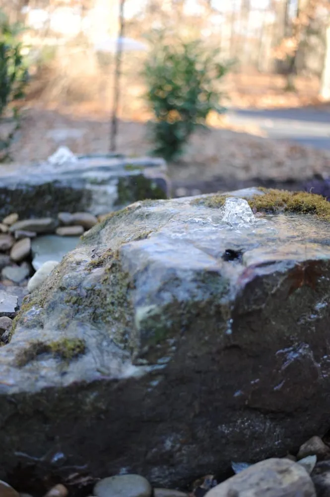 Local yard maintenance experts serving Andersonville, TN - Eclipse Land Management