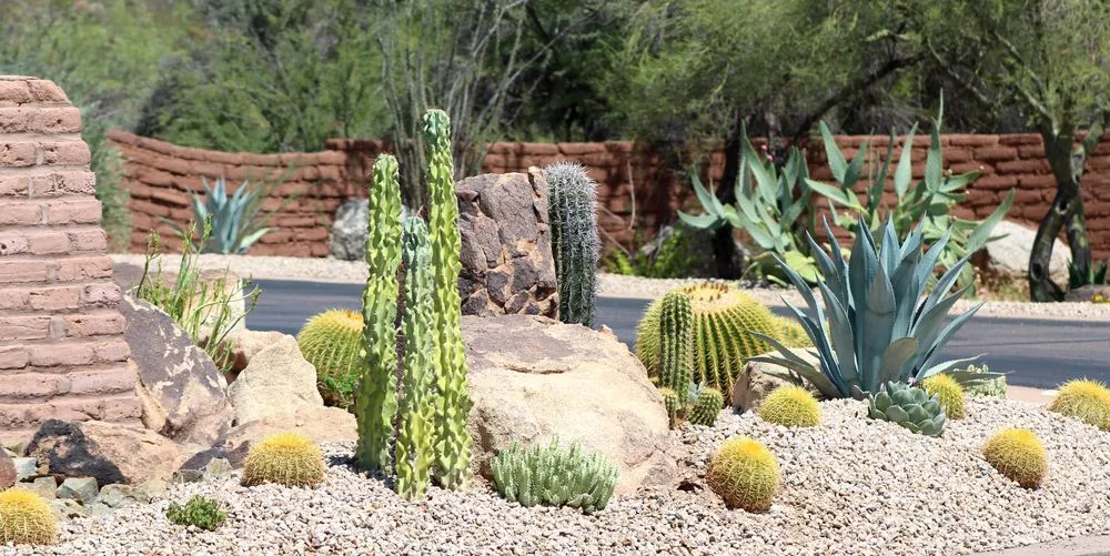 Reliable landscaping services in Scottsdale, AZ by Eclipse Landscape & Design