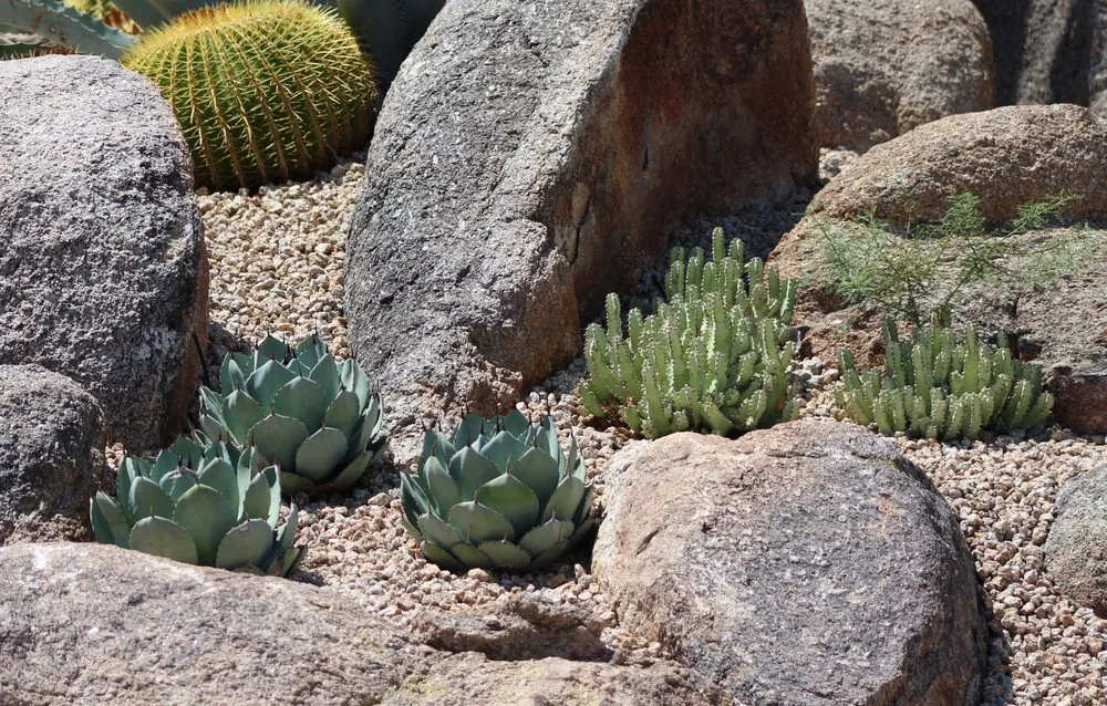 Local lawn mowing service experts serving Scottsdale, AZ - Eclipse Landscape & Design