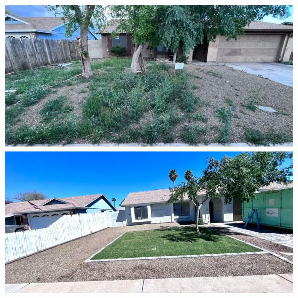 Expert yard maintenance near you across Scottsdale, AZ - Eclipse Landscape & Design