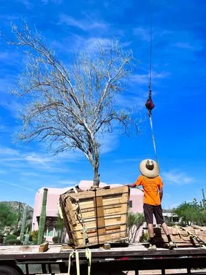 Eclipse Landscape & Design Logo