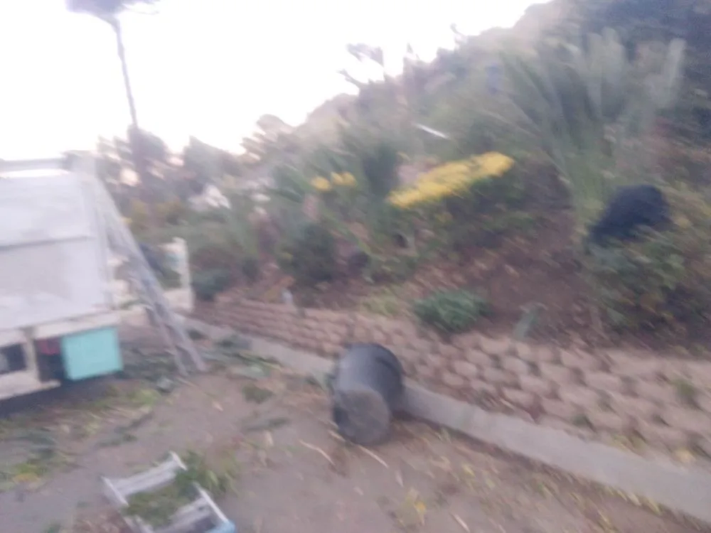 Trusted landscape design with custom design across San Fernando Valley, CA - Eclipse Landscaping & Maintenance