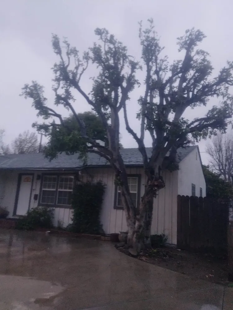 Reliable garden landscaping for homes in San Fernando Valley, CA by Eclipse Landscaping & Maintenance