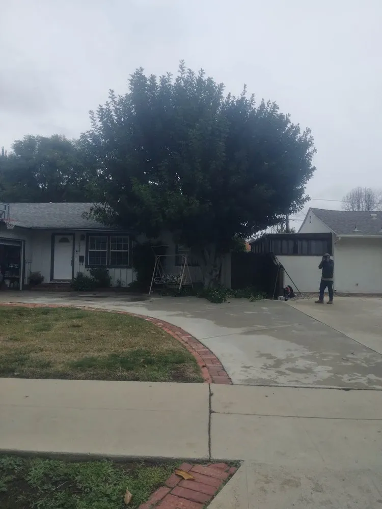 Trusted yard maintenance for homes across San Fernando Valley, CA - Eclipse Landscaping & Maintenance