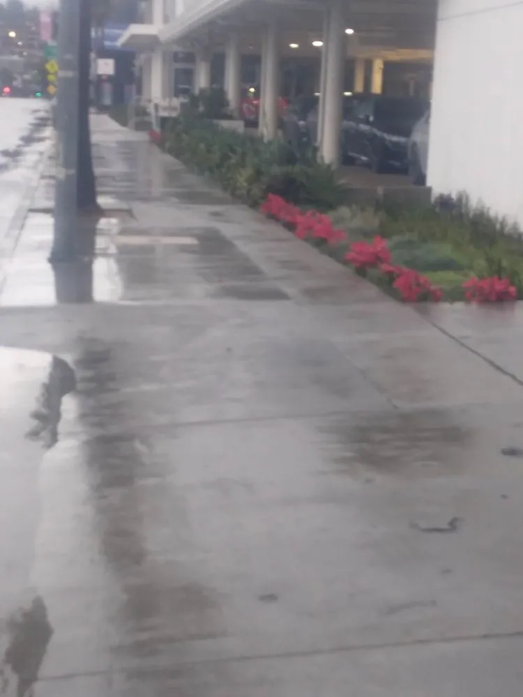 Professional lawn care service experts serving San Fernando Valley, CA - Eclipse Landscaping & Maintenance